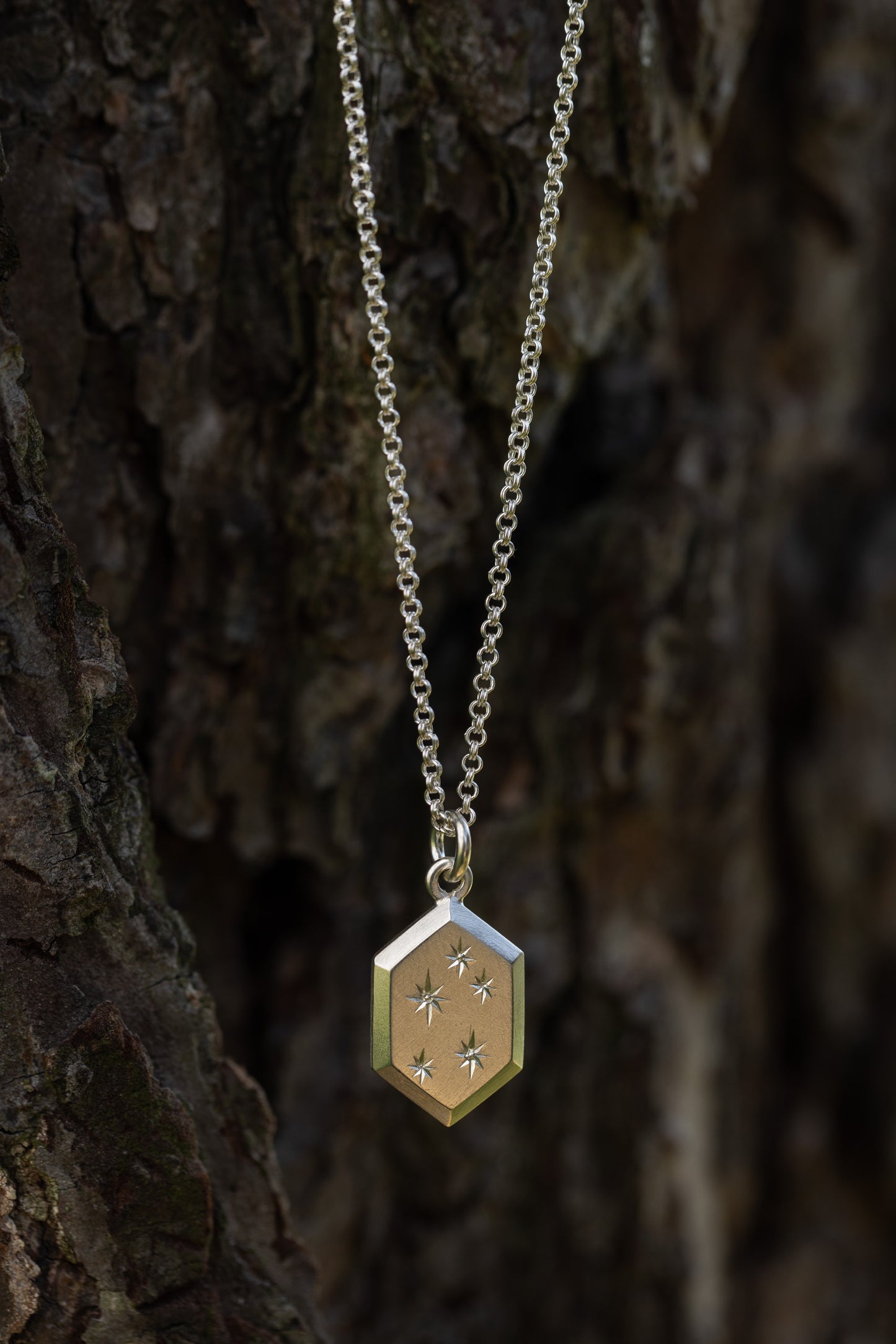 Constellation Necklace