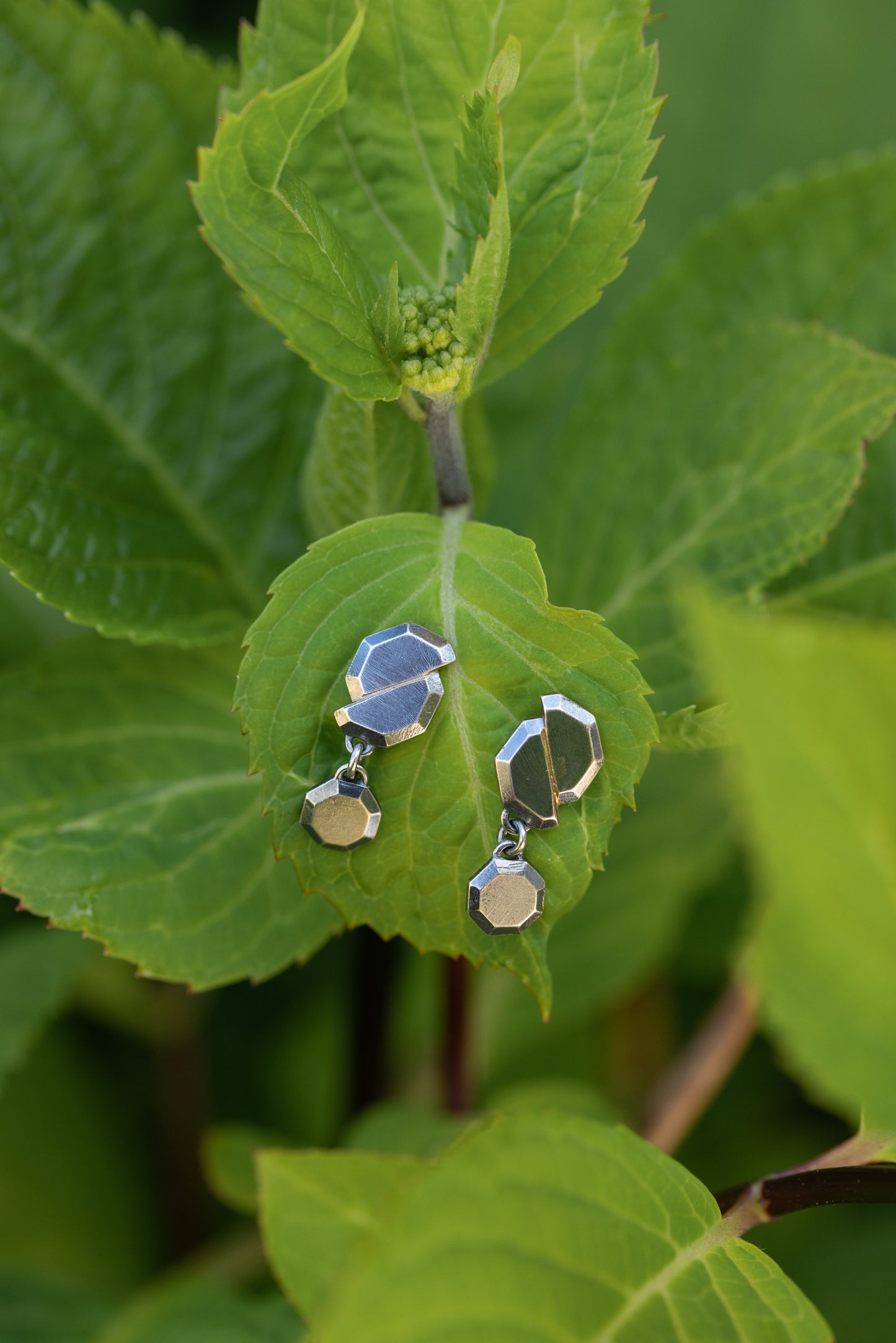 Fault Line Earrings