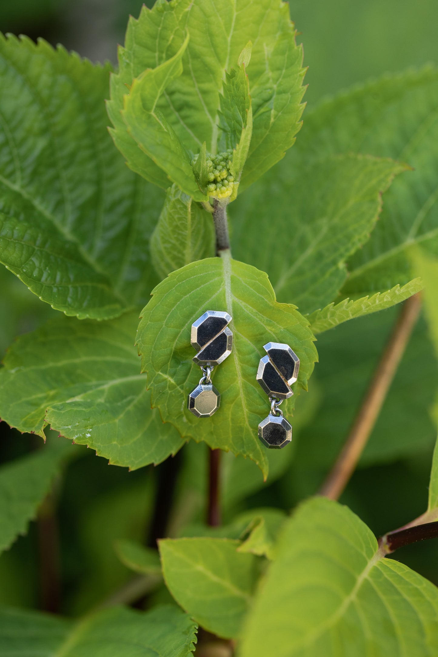Fault Line Earrings