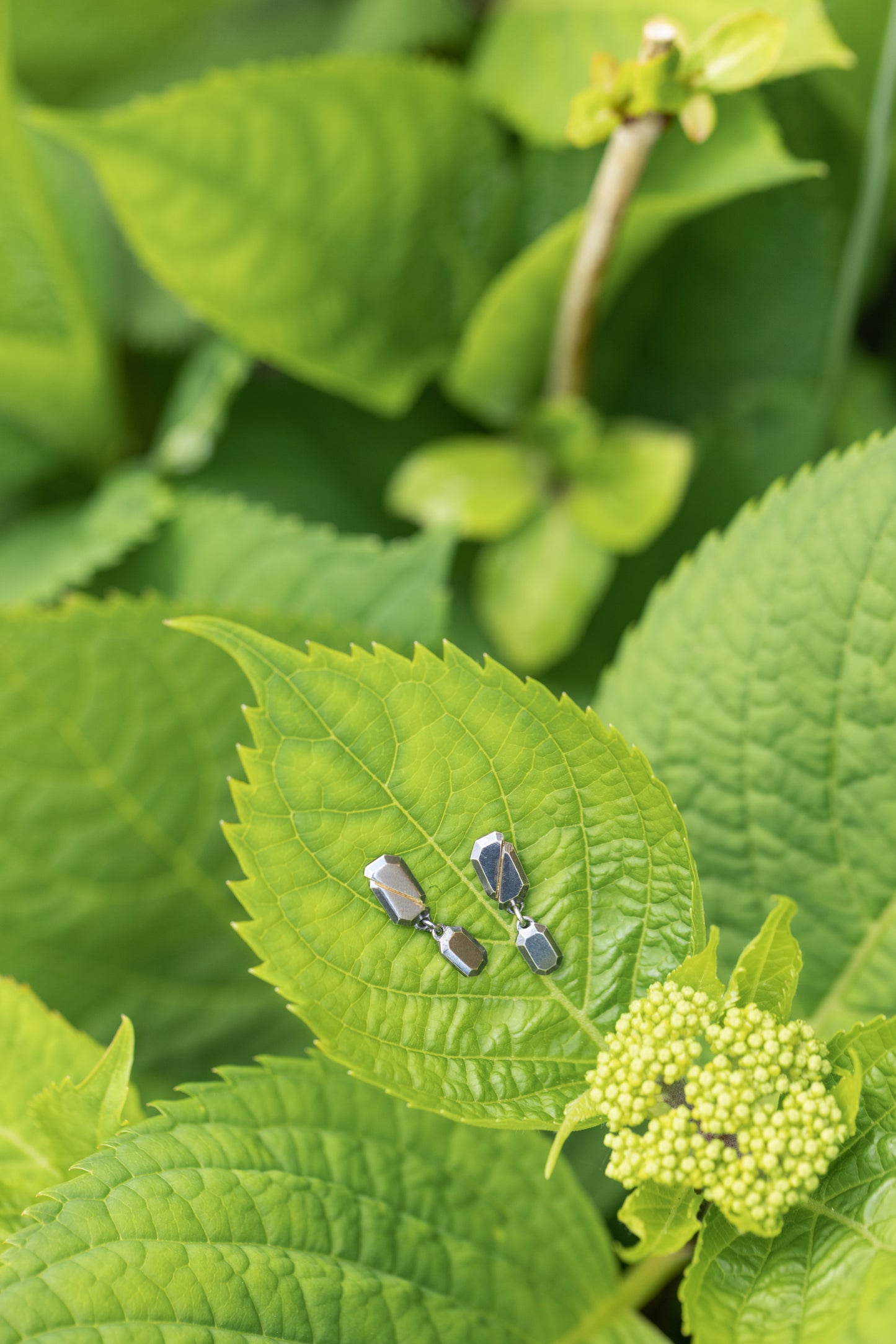 Fault Line Earrings