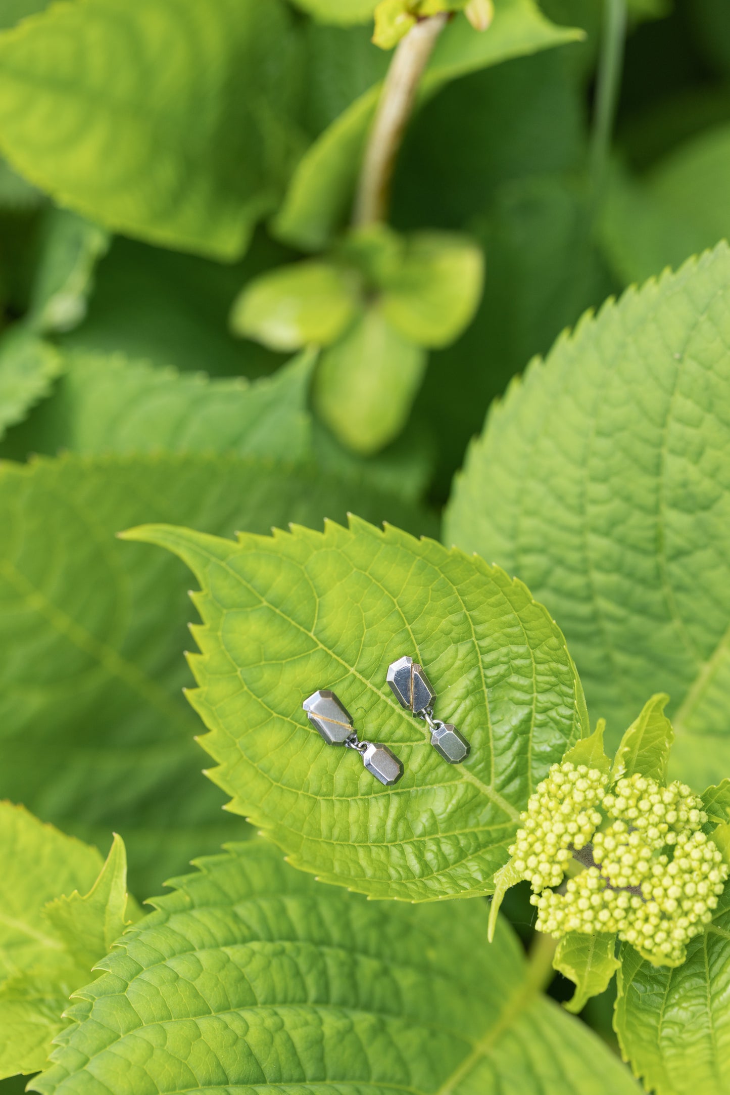 Fault Line Earrings